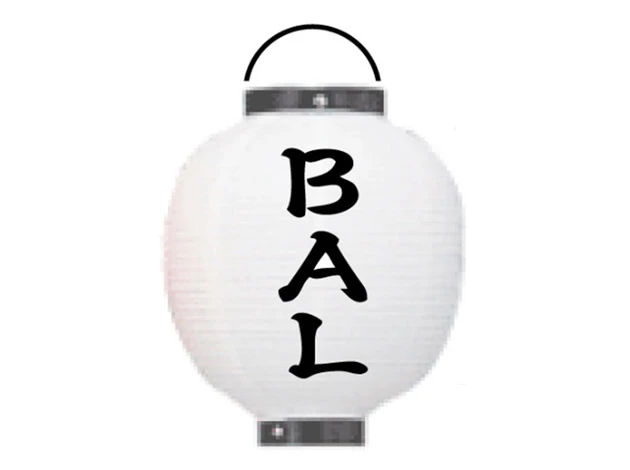 製作事例 No.303　9号丸型ビニール提灯 名入れデザインデータ