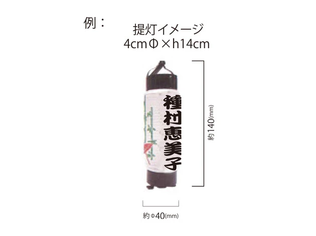 製作事例 No.373　ミニ提灯 名入れデザインデータ