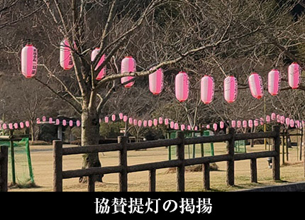 協賛提灯の掲揚