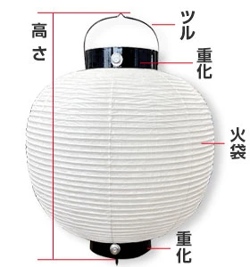 15号丸型提灯（尺五丸）サイズ