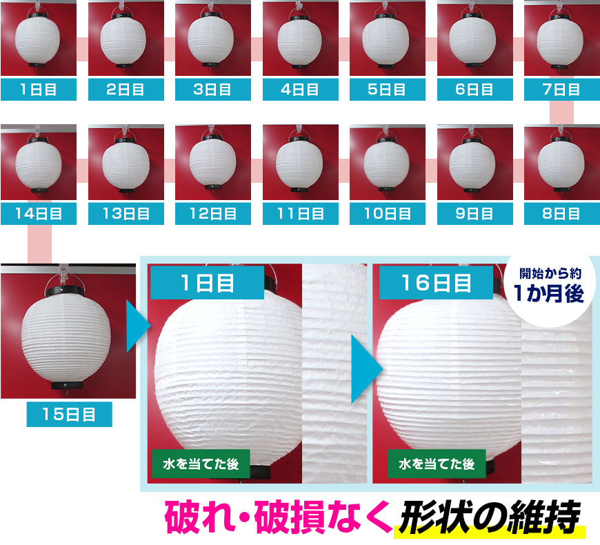 開始から約1か月後:破れ・破損なく形状の維持