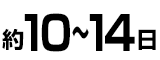 約10日～14日