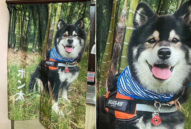 フルカラーのれん テトロントロピカル 昇華転写印刷(片面)