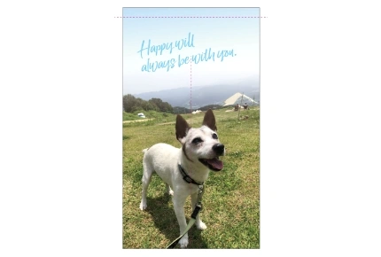 製作事例No.123 個人様 デザインデータ