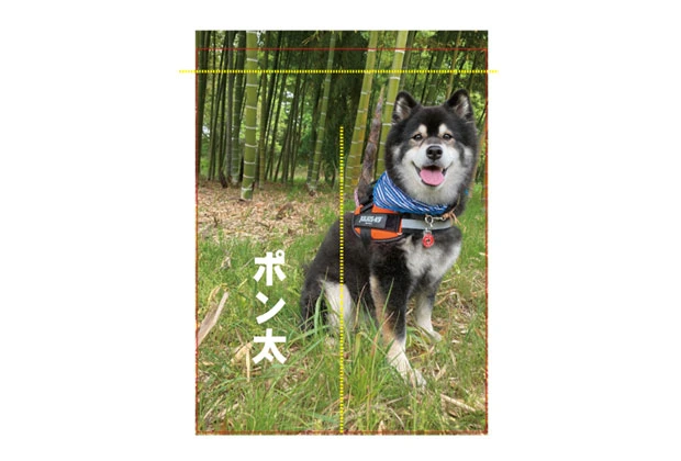 製作事例No.30 個人様 デザインデータ