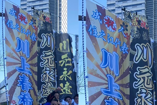 成人式のぼり旗【30・47・2】