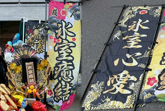 実績254