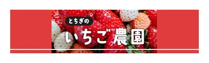 腰幕・ワゴン幕テーブルクロス展開図デザイン（販売品のPR写真）