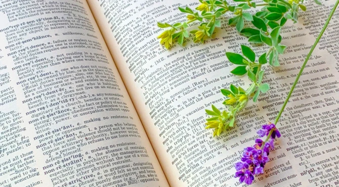 タペストリーは英語？正確なスペルと発音を理解する