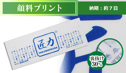 顔料プリント